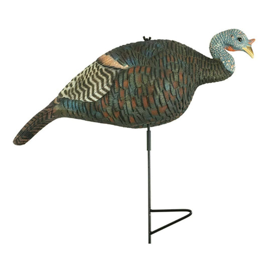 The Grind “relaxed hen”